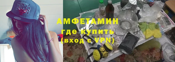 индика Алексеевка