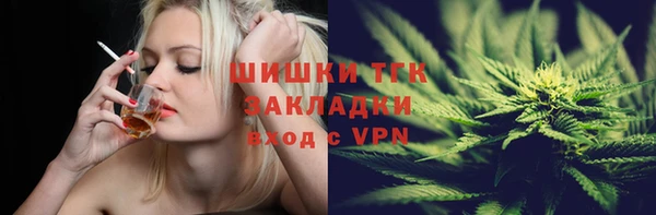 индика Алексеевка