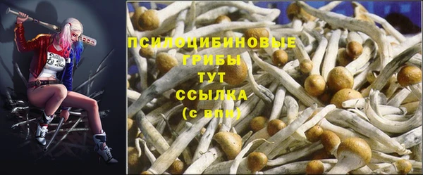 apvp Абдулино