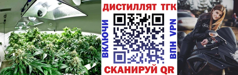 ТГК Wax Отрадное