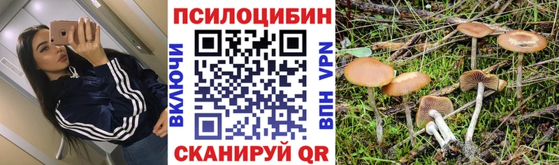 hydra рабочий сайт  Отрадное  Галлюциногенные грибы GOLDEN TEACHER 